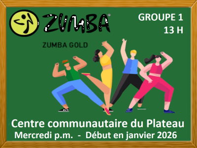 ZUMBA GOLD - 13 h