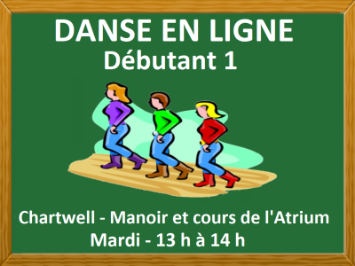 DANSE EN LIGNE – DÉBUTANT 1 [Copie]