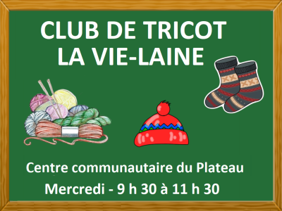 CLUB DE TRICOT LA VIE-LAINE