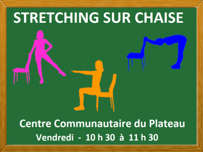 STECTCHING SUR CHAISE &lpar;nouvelle activit&eacute;&rpar;